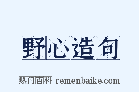 野心造句是什么意思的图片